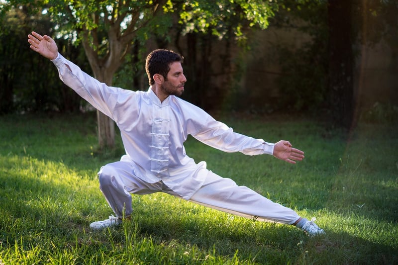 Tai Chi Grasping the Bird's Tail